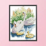 Swan Family Cross Stitch Embroidery DIY 14CT Stamped Needlework Kit  D336