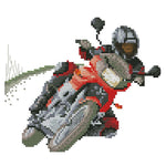 Racing Sports Stamped Cross Stitch Kit 14CT Embroidery  Motorbike RA113