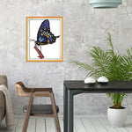 Ecological Cotton Thread Picture Butterfly Cross Stitch Needlework (D743)