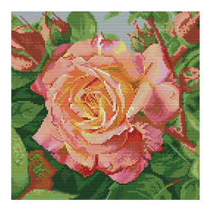 14CT Stamped Cross Stitch Kit A Rose Sewing Needlework Embroidery  H821