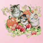 Stamped Cross Stitch Autumn Kitties 2 Strand 14CT Embroidery DIY Set  D378