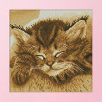 Cross Stitch Kits DIY Sleep Cat 14CT Stamped Embroidery 22 X 22cm  DA243