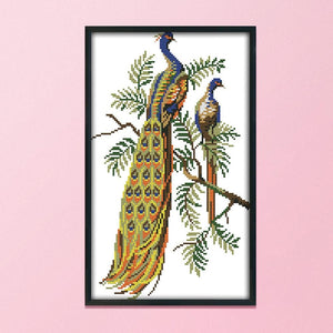 Peacock Cross Stitch 14CT Stamped Animals DIY Needlework  D946 22x36cm