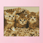 Cross Stitch Kits DIY Three Cat 14CT Stamped Embroidery 35 X 30cm  DA231