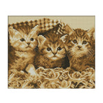 Cross Stitch Kits DIY Three Cat 14CT Stamped Embroidery 35 X 30cm  DA231