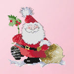 14CT Stamped Cross Stitch Kits DIY Santa Claus Embroidery 19 X 19cm  RA204