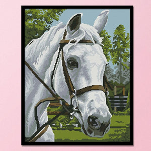 14CT Stamped Cross Stitch Kits DIY Crafts Needlework  D314 White Horse