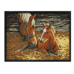 Stamped Cross Stitch Kit Horse 14CT Embroidery Set  Playing Horses D500