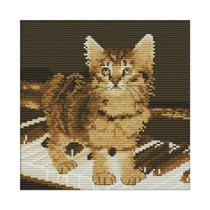 Cross Stitch Kits DIY Piano Cat 14CT Stamped Embroidery 22 X 22cm  DA239