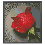 DIY Cross Stitch Kits 11CT Stamped Needlework Cotton Thread  66 Drop Rose