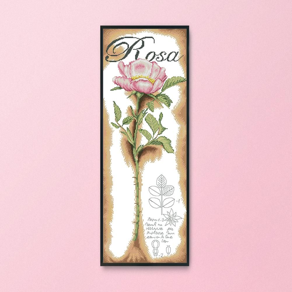 14CT Stamped Cross Stitch Pinkyrose Sewing Needlework Embroidery  H820