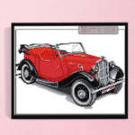 Print Canvas DIY Artwork Needlework 14CT Stamped Kit Cross Stitch  Red Car