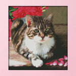 Cross Stitch Kits DIY Cute Cat 14CT Stamped Embroidery 34 X 37cm  D321