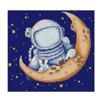 Landing Moon Cross Stitch 14CT Stamped Embroidery Thread Needlework  KB039